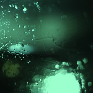 aaa三级网页观看
