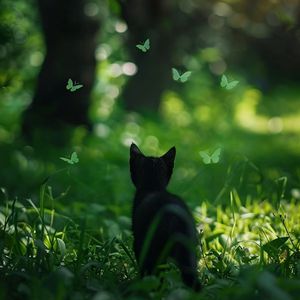 aaa三级网页观看
